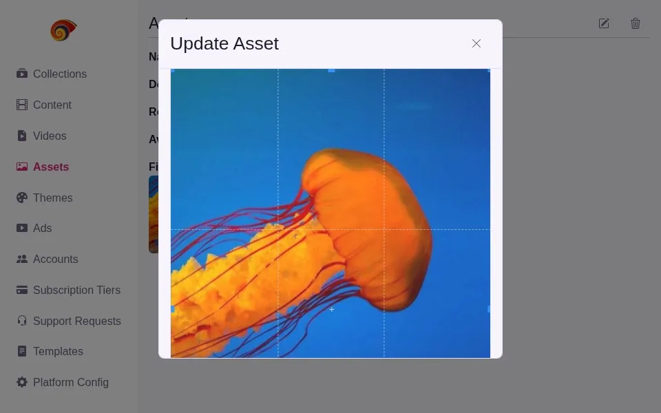 Cropping an uploaded image asset with drag handles, Nova light theme